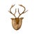 Cabin Deer Head Pottery Barn Large Carved Wood Stag on Plaque Rustic Cabin Man-Cave Decor For Sale - Image 3 of 7