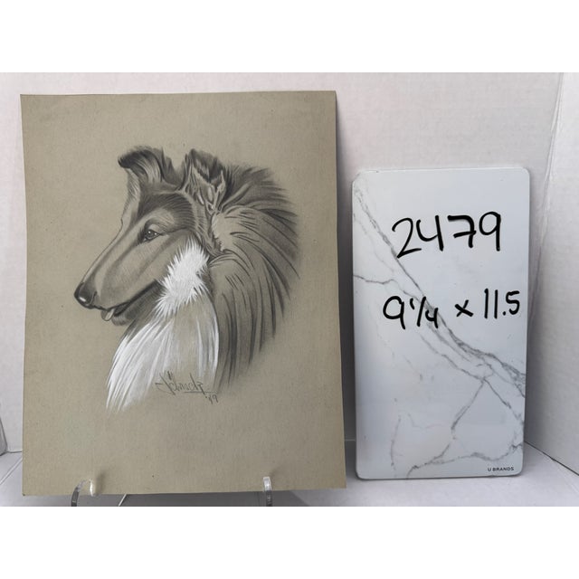 1940s Original Signed Graphite Illustration of Collie, 11.5 × 9.25 In. For Sale In Atlanta - Image 6 of 6