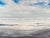 "Solo" Contemporary Seascape Oil Painting, by Jessica Fairley For Sale