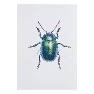 Juris Utans, Blue Wonder Beetle, 2021, Mixed Media on Paper For Sale