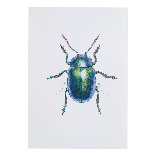 Juris Utans, Blue Wonder Beetle, 2021, Mixed Media on Paper For Sale