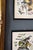 Pair of Framed Bird and Botanical Prints by Arthur Singer Mockingbird and Goldfinch For Sale - Image 14 of 16