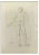 Nicholas Cochin, Anatomy Studies, Etching, 1755 For Sale