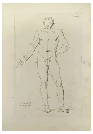 Nicholas Cochin, Anatomy Studies, Etching, 1755