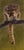 Silent Hunter by Terra Novak | Oil on wood Painting of a mountain lion on a branch For Sale