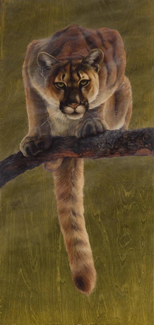 Silent Hunter by Terra Novak | Oil on wood Painting of a mountain lion on a branch