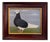 Matt Rix, Naïve Style Racing Pigeon, Oil Painting, Framed For Sale