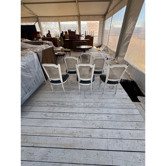 Wood Fine 19th Century French Louis XVI Dining Chairs - Set of 6 For Sale - Image 7 of 12