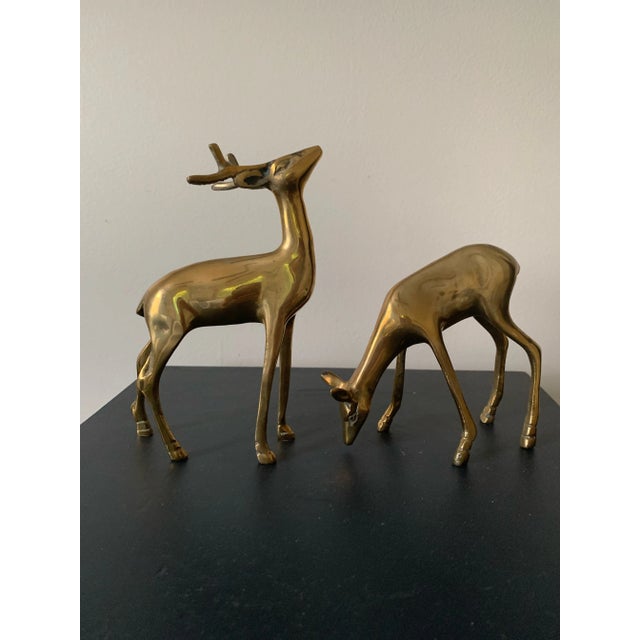 Mid-Century Modern Mid 20th Century Vintage Brass Pair of Deer For Sale - Image 3 of 10