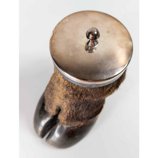 19th Century Victorian Taxidermy Moose Hoof Knuckle Box or Ashtray For Sale In New York - Image 6 of 10