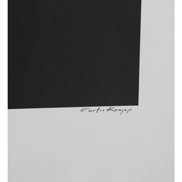 Portraiture Andy Warhol, Photo Portrait by Curtis Knapp For Sale - Image 3 of 4