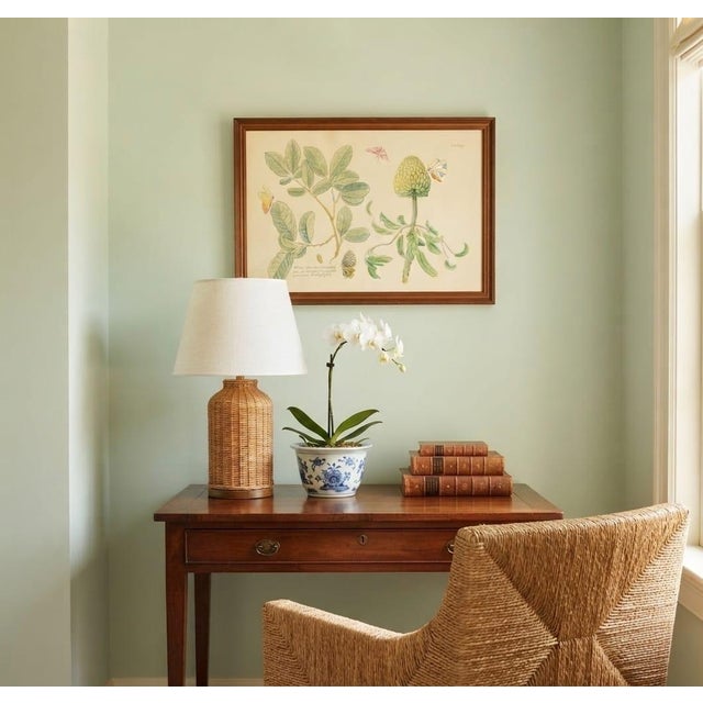 Wood Mark Catesby "The Sweet Sop Tree" Framed Botanical Print For Sale - Image 7 of 12