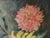Early 20th C Oil Painting of Chrysanthemums For Sale - Image 10 of 12