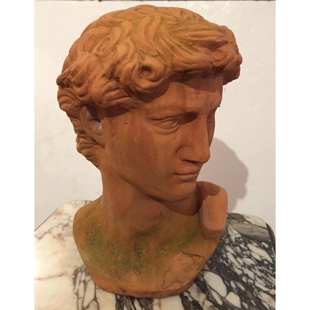 Classic Italian Terracotta Bust of David For Sale - Image 4 of 7