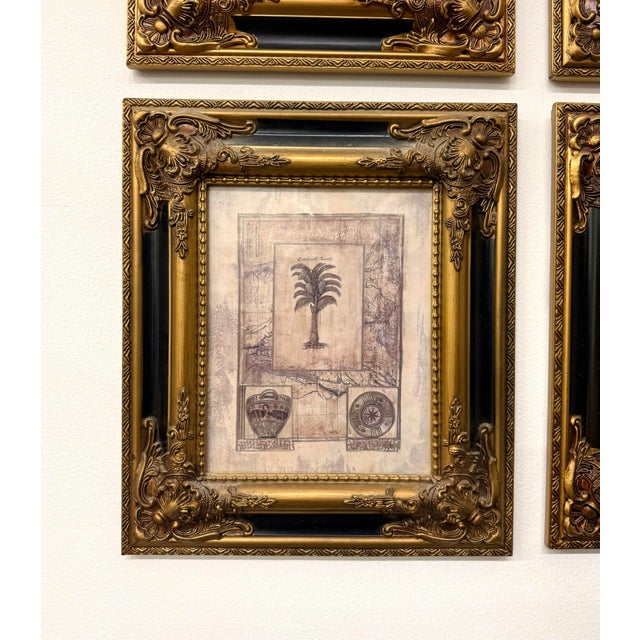 Coastal Vintage Coastal Framed Palm Lithographs - Set of 4 For Sale - Image 3 of 5