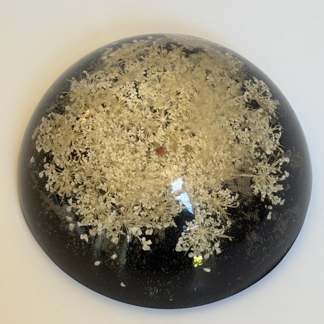 Mid-20th Century Signed William Rolfe Botanical Resin Paperweight For Sale - Image 13 of 15