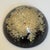 Mid-20th Century Signed William Rolfe Botanical Resin Paperweight For Sale - Image 13 of 15