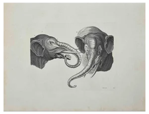 Thomas Holloway, Elephants, Original Etching, 1810