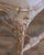 Swedish Rococo Chair from Stockholm with Scraped Original Paint, Circa 1760 For Sale - Image 9 of 10