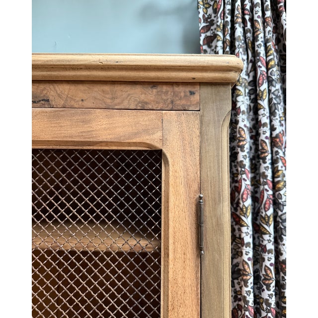 Antique Library with Wire Mesh Doors, 1890s For Sale - Image 13 of 16