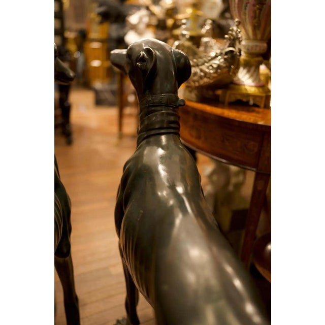 Life-Size Art Deco Greyhound Sculptures in Bronze, Set of 2 For Sale - Image 11 of 12