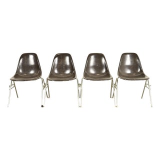 Charles & Ray Eames for Herman Miller DSS Seal Brown Stacking Shell Chairs | Set of Four For Sale