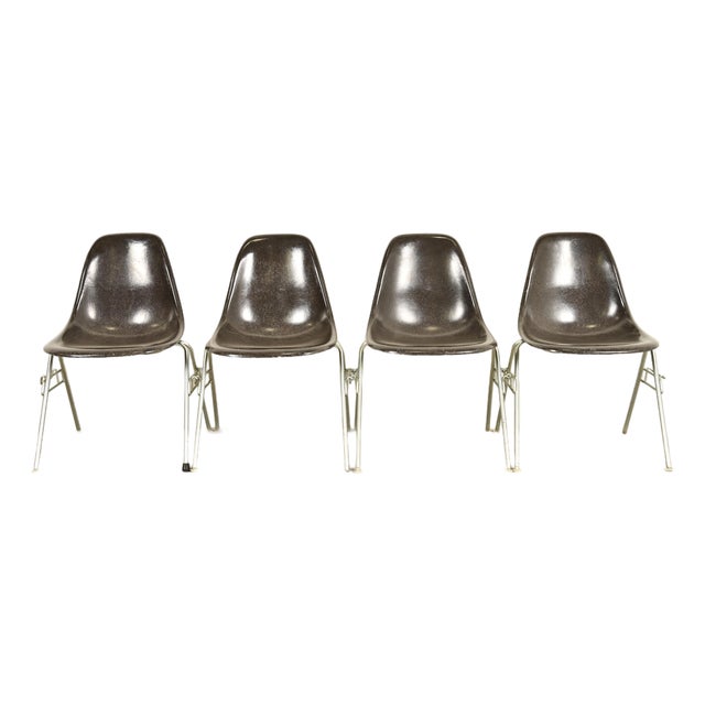Charles & Ray Eames for Herman Miller DSS Seal Brown Stacking Shell Chairs | Set of Four For Sale