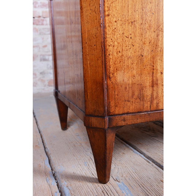Empire Cabinet in Oak, Spruce, Mahogany Veneer and Brass, Austria, 1810s For Sale - Image 13 of 17
