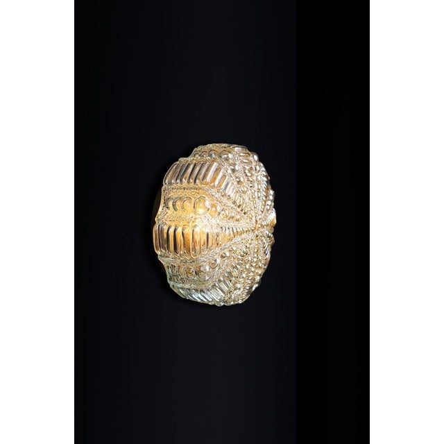 Mid-Century Modern Amber Glass Wall Lights attributed to Kaiser Idell / Kaiser Leuchten, Germany, 1960s For Sale - Image 9 of 13