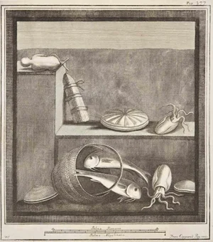 Francesco Cepparoli, Ancient Roman Fresco Herculaneum, Etching, 18th Century