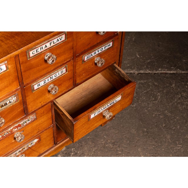 Antique Wooden Apothecary Cabinet With Labeled Drawers For Sale In Chicago - Image 6 of 9