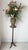 Late 20th Century Late 20th Century Pennsylvania House Cherry Wood Plant Accent Stand Excellent "Mint" Condition For Sale - Image 5 of 11