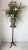 Late 20th Century Pennsylvania House Cherry Wood Accent Stand Excellent "Mint" Condition Late 20th Century For Sale - Image 5 of 11
