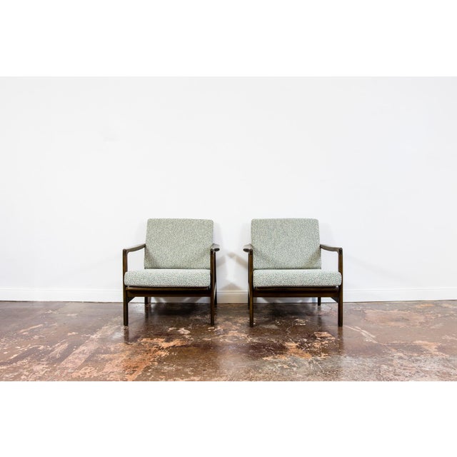 Gray Mid-Century Modern Lounge Chairs by Zenon Bączyk, Poland, 1960s, Set of 2 For Sale - Image 8 of 18