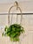 Vintage Rattan Unique Hanging Basket For Sale - Image 13 of 13