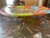 Mid-Century Modern Geometric Platter by Higgins Art Glass For Sale - Image 3 of 6