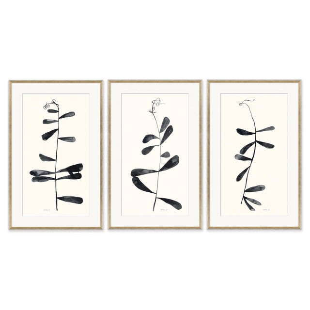 Not Yet Made - Made To Order Shoot I, II and III by Susan Hable For Sale - Image 5 of 5
