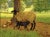 This oil painting on Masonite panel captures the bond between mother and child, as the ewe looks toward the artist and...