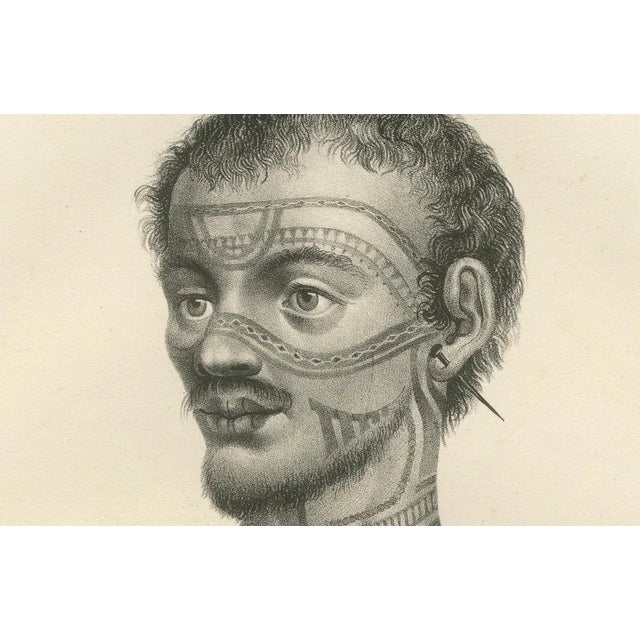 Joseph Brodtmann, A Tattooed Man from Nuku Hiva, French Polynesia, 1836, Print For Sale - Image 4 of 12