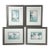 Vintage Modern Tropical Landscape Architectural Set of 4 Prints by Wini Smart For Sale