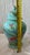 Vintage Andrea by Sadek Japanese Turquoise Floral & Bird Ginger Jar For Sale - Image 11 of 11