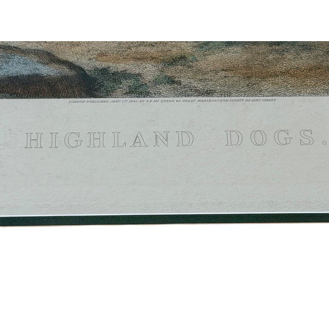Cream 1880 Hand-Colored Engraving "Highland Dogs" After Sir Edwin Landseer in Custom Burlwood Frame For Sale - Image 8 of 11