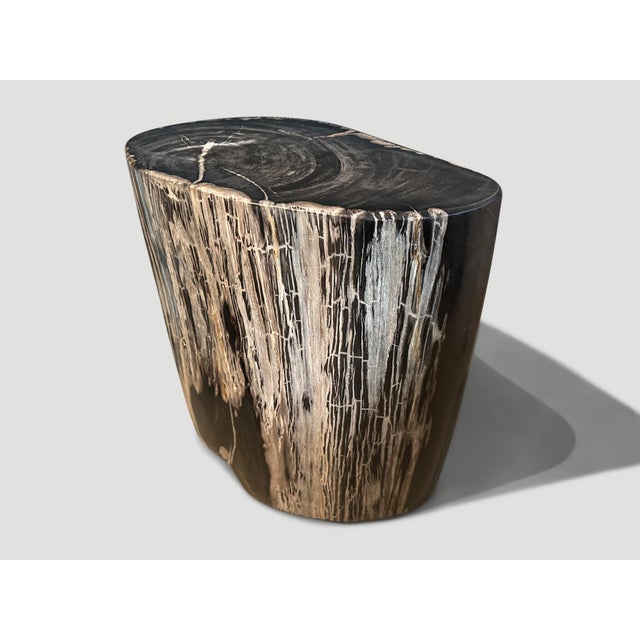 Andrianna Shamaris Ancient Petrified Wood Side Table For Sale - Image 4 of 6