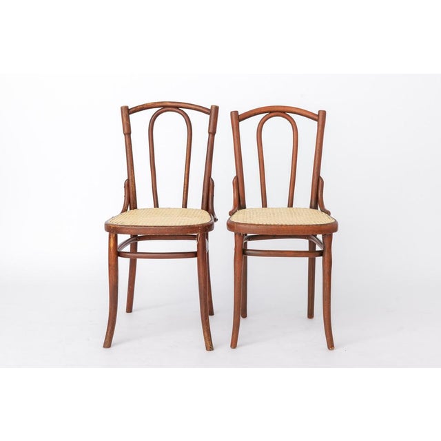 Wood Antique Austrian Bentwood Chair in Rattan in the Style of Thonet No. 56, 1930s For Sale - Image 7 of 14