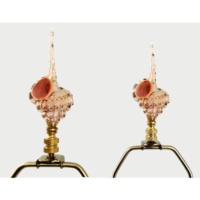 Brass Lamps Signed Ralph Lauren Pair Shells Seashells Added For Sale - Image 8 of 18