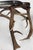 2000 - 2009 Exceptional Gathered Antler Console For Sale - Image 5 of 9