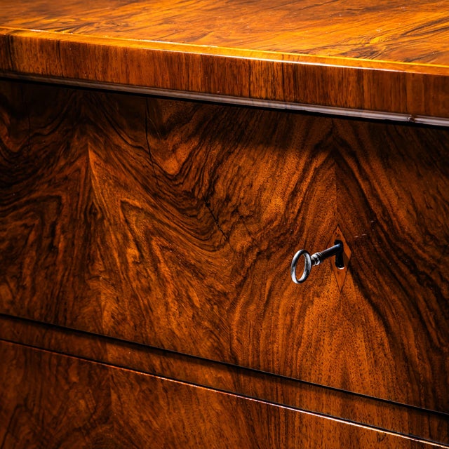 Biedermeier Chest of Drawers, 1830s For Sale - Image 9 of 10