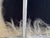 Animal Skin PL19 Lounge Chairs in Mongolian Ivory Wool by Franco Albini for Cassina, 1970, Set of 2 For Sale - Image 7 of 9