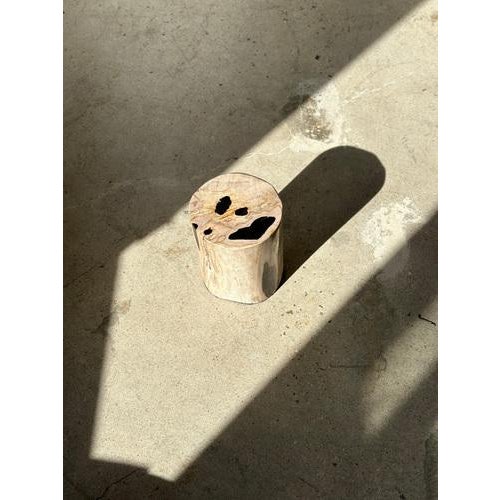 Side Table in White Petrified Wood with Black Spots For Sale - Image 15 of 18
