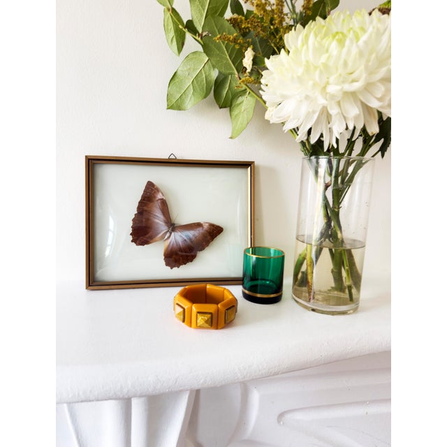 Vintage 1970s Framed Morpho Butterfly Specimens, Pair For Sale - Image 4 of 12